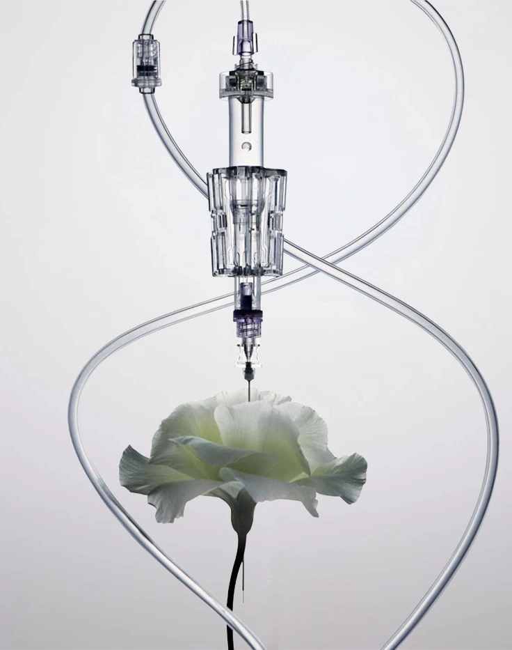 Laboratory glassware and fresh botanicals for fragrance ingredient development